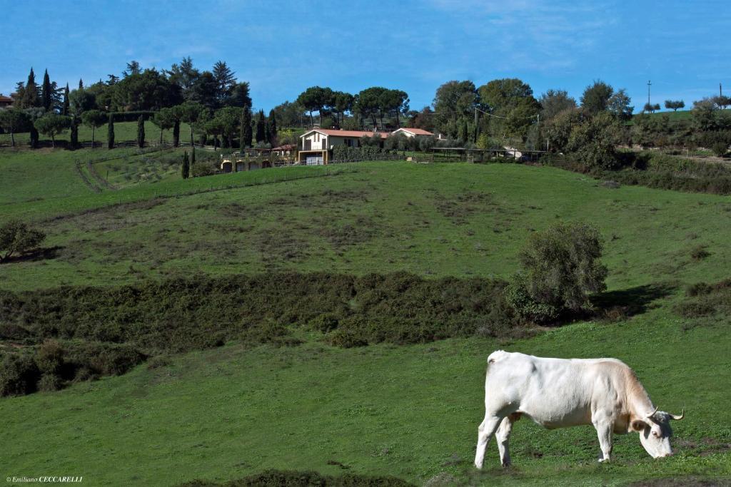 Agriturismo Valle Siriaca Castelnuovo Di Porto Екстер'єр фото